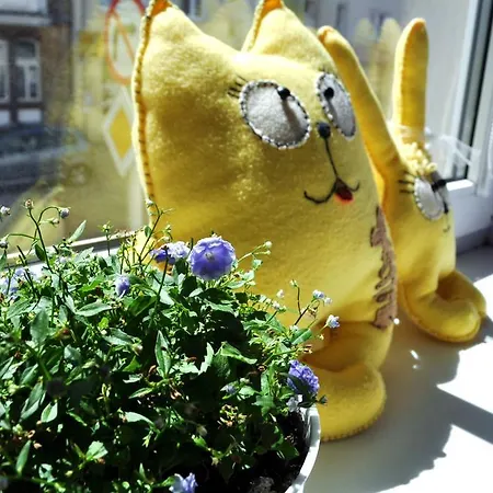 Happy House * بوزنان