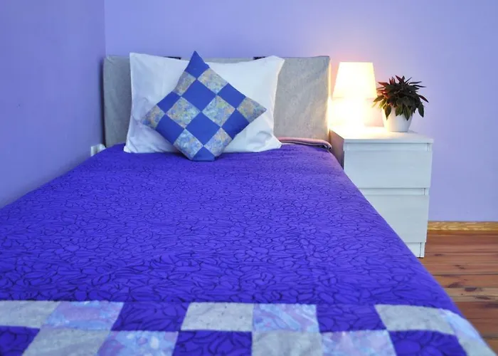 旅馆 快乐之家旅馆 *