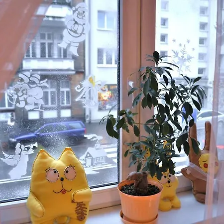 بيت شباب Happy House بوزنان