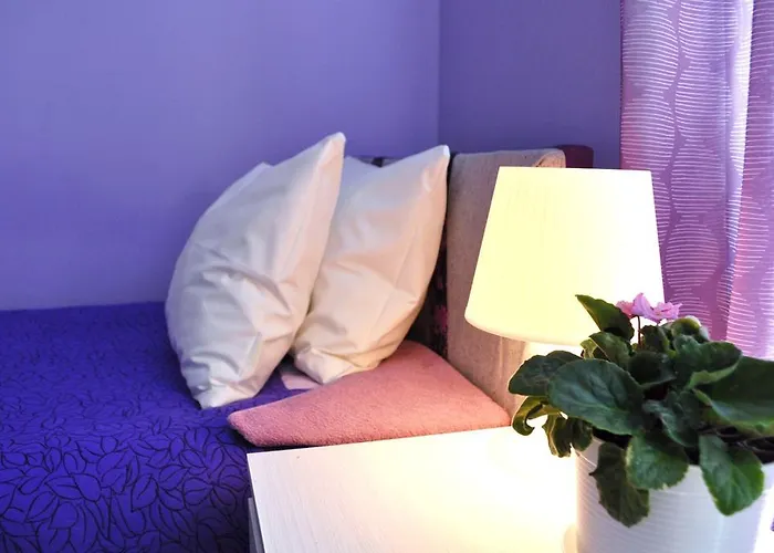 Happy House بيت شباب *